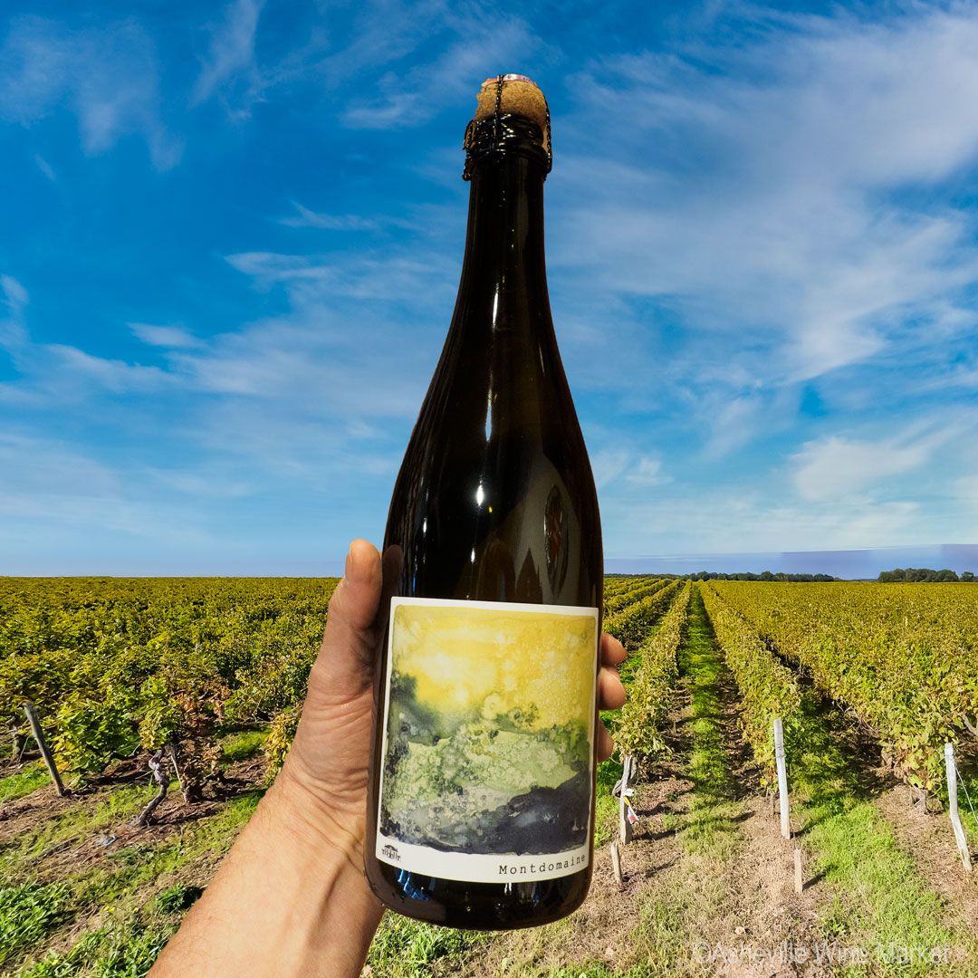 AvlWineMarket's tweet photo. Louisa and Frédéric Plou are the current owners of Château de Montdomaine, continuing the estate's rich family history. The property has been deeply linked with viticulture and winemaking in the region for centuries, tracing its roots back to the local origins of the Plou family https://t.co/m4xBWClXS0