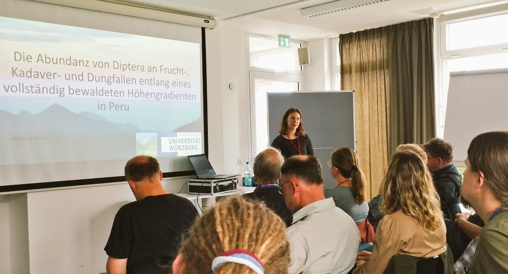 <a href="/AbelsAntonia/">Antonia Abels</a> presenting her master's thesis on diptera diversity along the tropical elevation gradient at the AK Diptera meeting, this year at Norderney! Congrats, such nice work 👏🪰