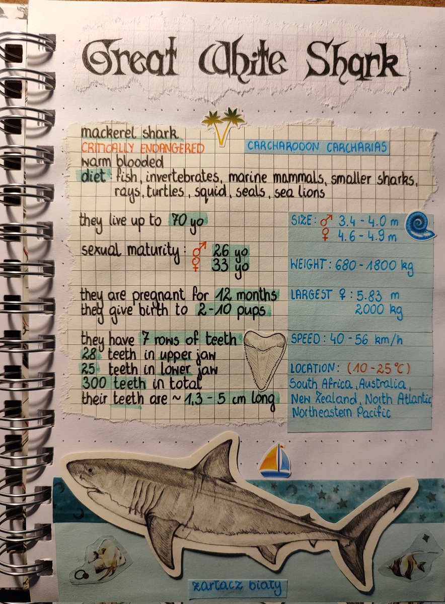 phrogonarock's tweet photo. i'm so ia but i started a marine biology journal and wanted to share cuz i'm actually rlly proud of these pages https://t.co/dGEyiU46eL