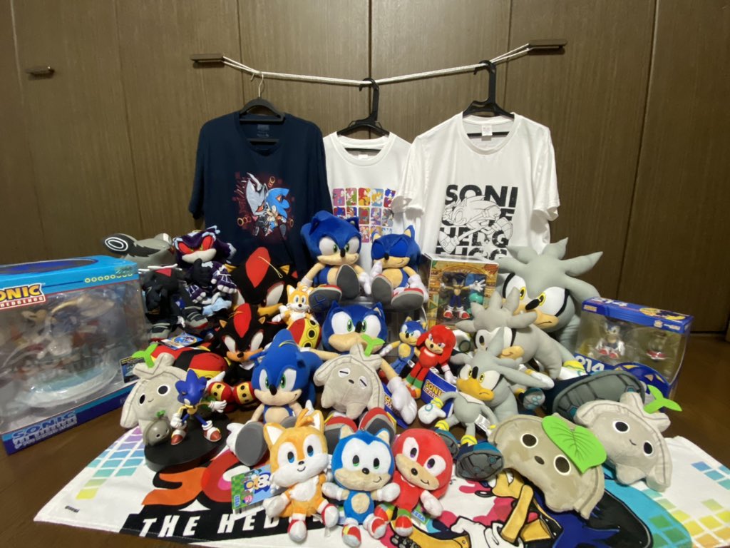 nonose🦔 (@nns_sonic) / Posts / X