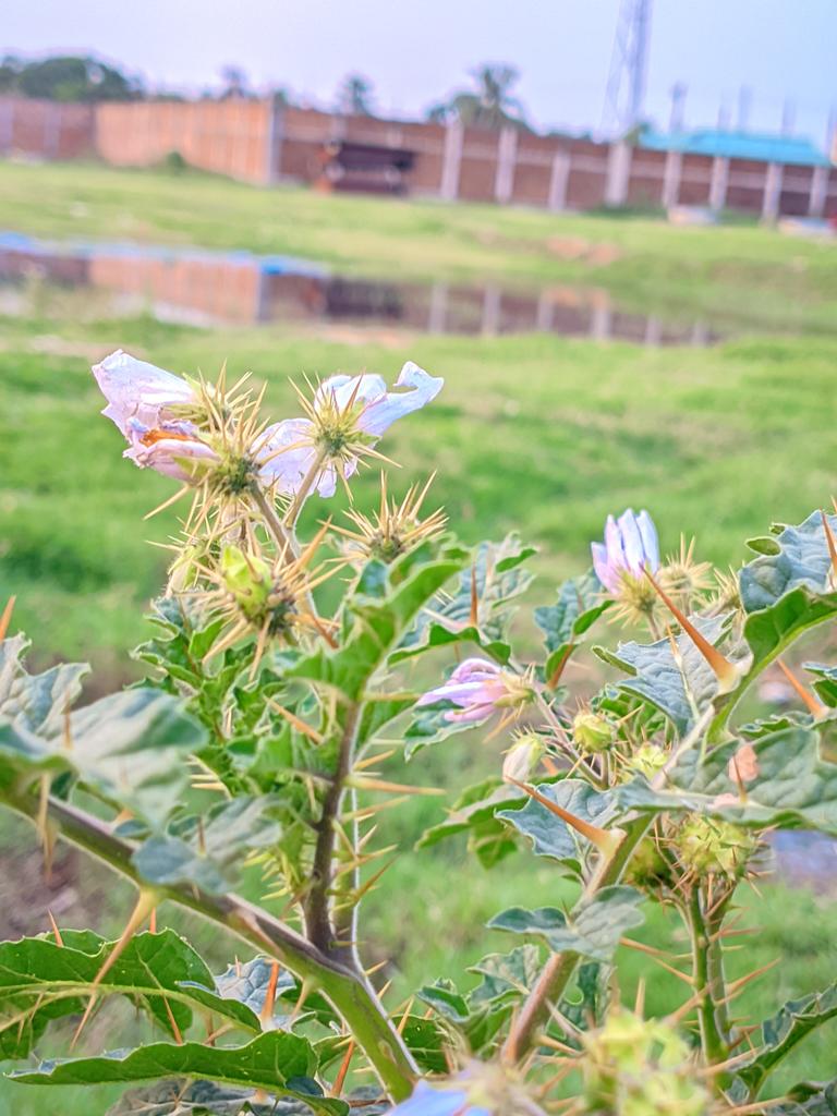 Tinni_Moni tweet media