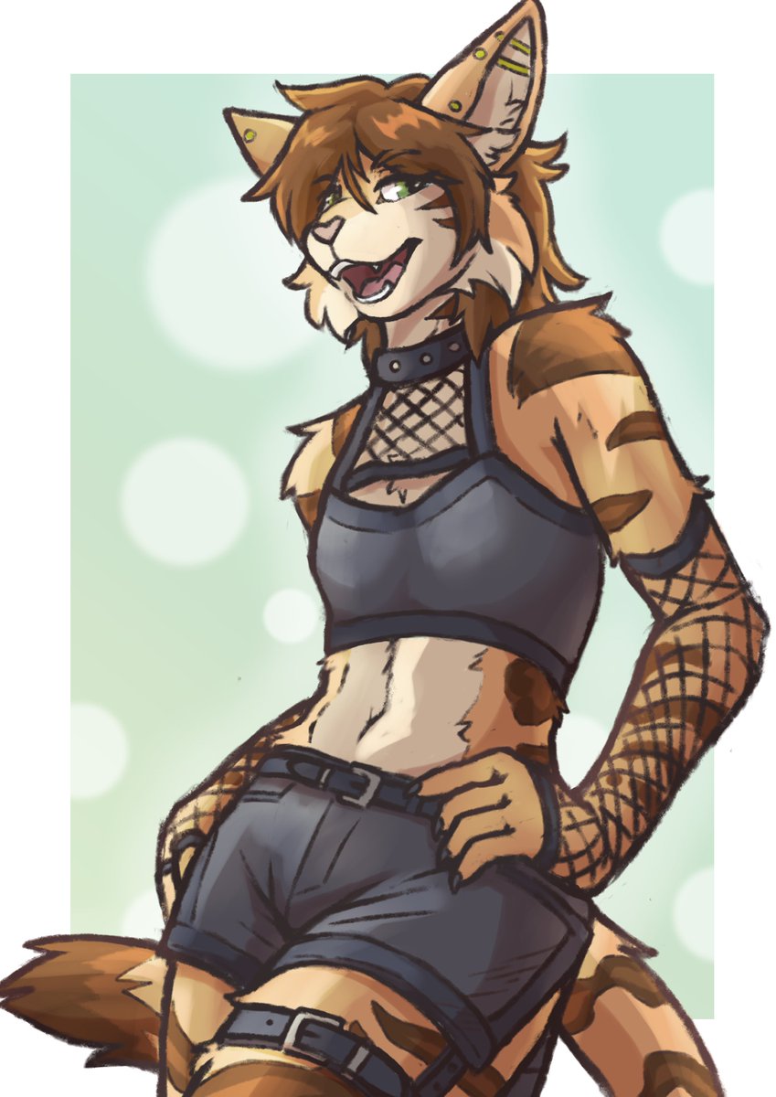 Arckee_'s tweet photo. sassy cat! https://t.co/7NWFT8i6mk