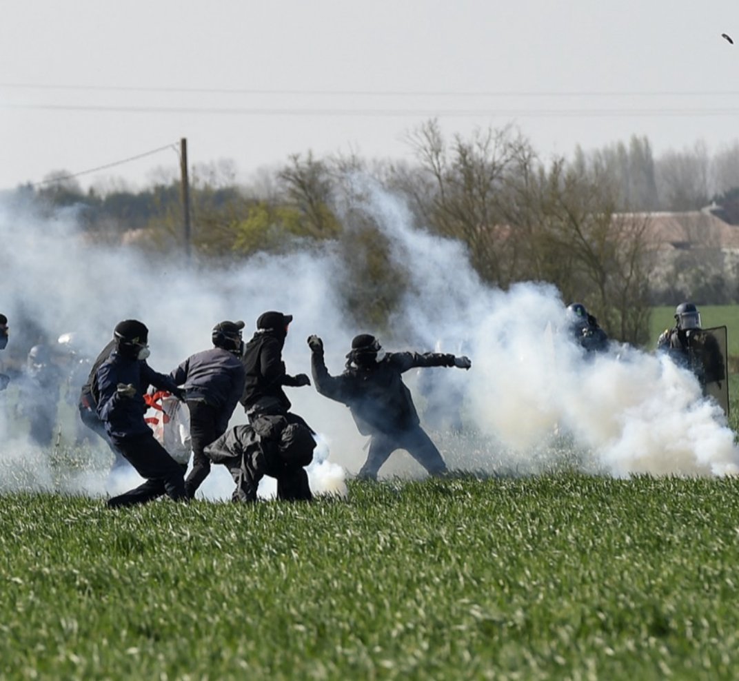 catherine sirven tweet media