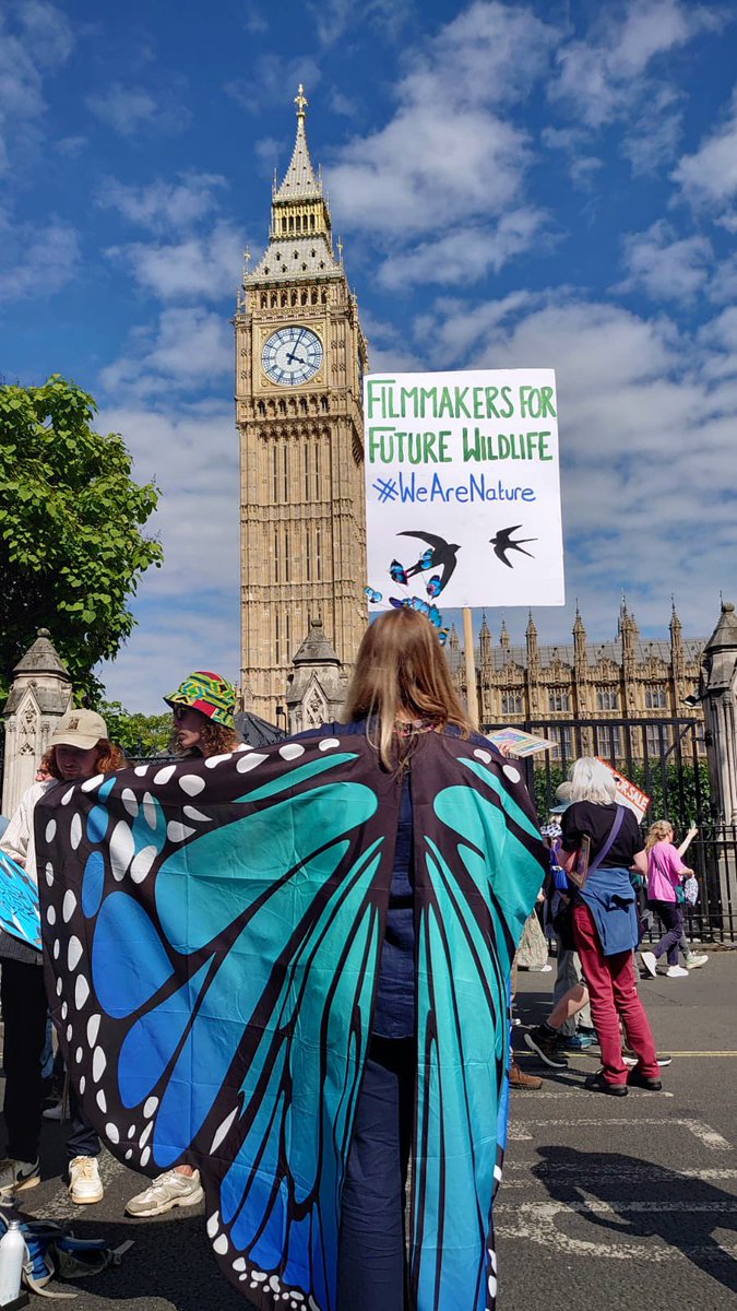It’s not just for our health, food, water, sustainability…our jobs…nature deserves our protection. #WeAreNature and <a href="/FFWildlife/">Filmmakers for Future: Wildlife 🌱</a> says #RestoreNatureNow 💚💙