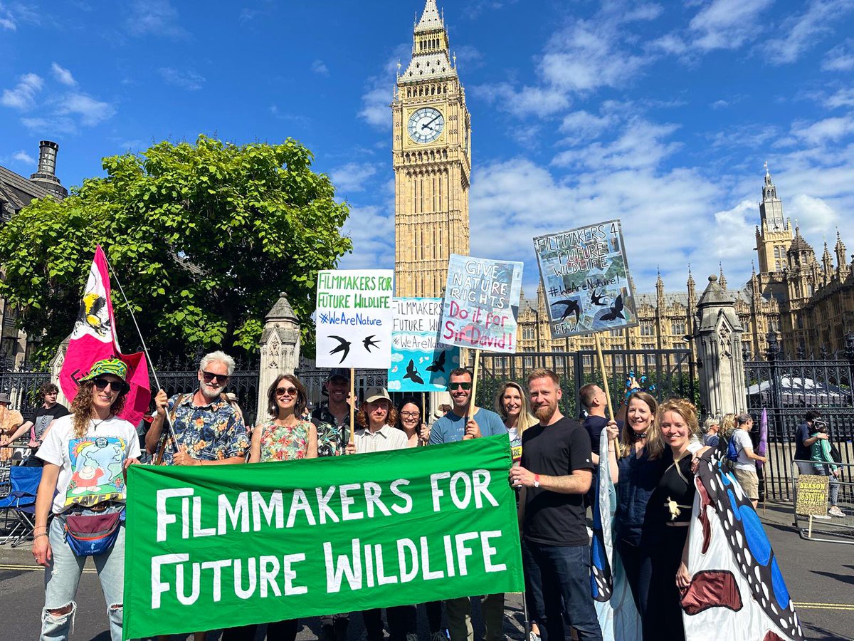Filmmakers for Future: Wildlife 🌱 tweet media