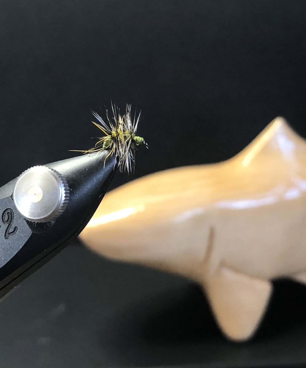 Olive Midge…

Trout carving by <a href="/Phishtitz/">David Burton</a>