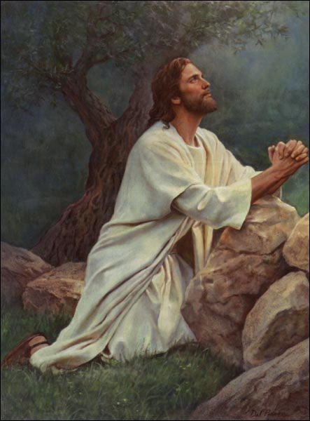 Adam_FaithfulM's tweet photo. Don't listen to the world.

Listen to God.

Pray. https://t.co/zxCrcVfLwe