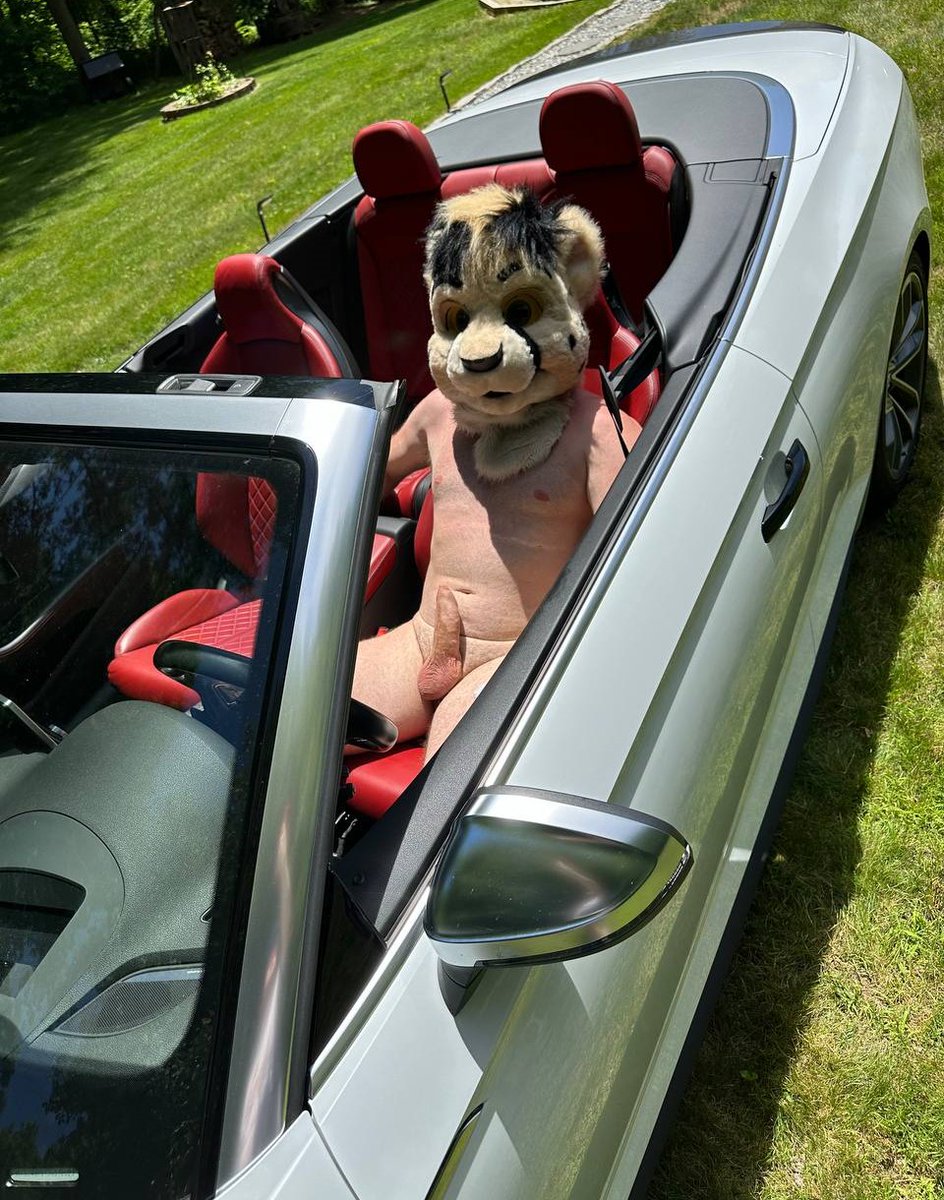 InvertedSpots's tweet photo. Top down on a sunny day! car and photos by @ikaruafterdark https://t.co/m8dMLtXEWp