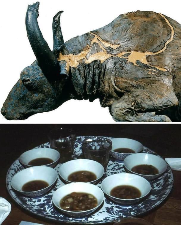 creepydotorg's tweet photo. A preserved 50,000-year-old steppe bison, was accidentally found by a gold miner in Alaska in 1979. Researchers decided to cook and eat a part of its neck muscle. The actual stew is shown on the bottom picture. https://t.co/JZCwfKi6XA