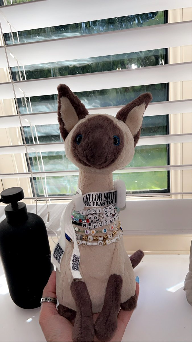 After night 1 of  #LondonTSTheErastour a new swiftie has been born 🎤<a href="/taylornation13/">Taylor Nation</a>