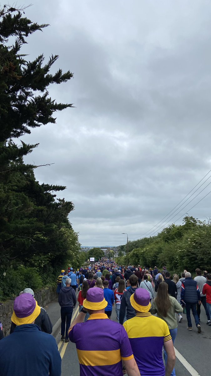 Ronan McCarthy tweet media