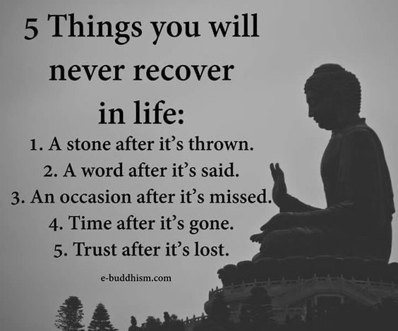 Mindful Maven tweet media