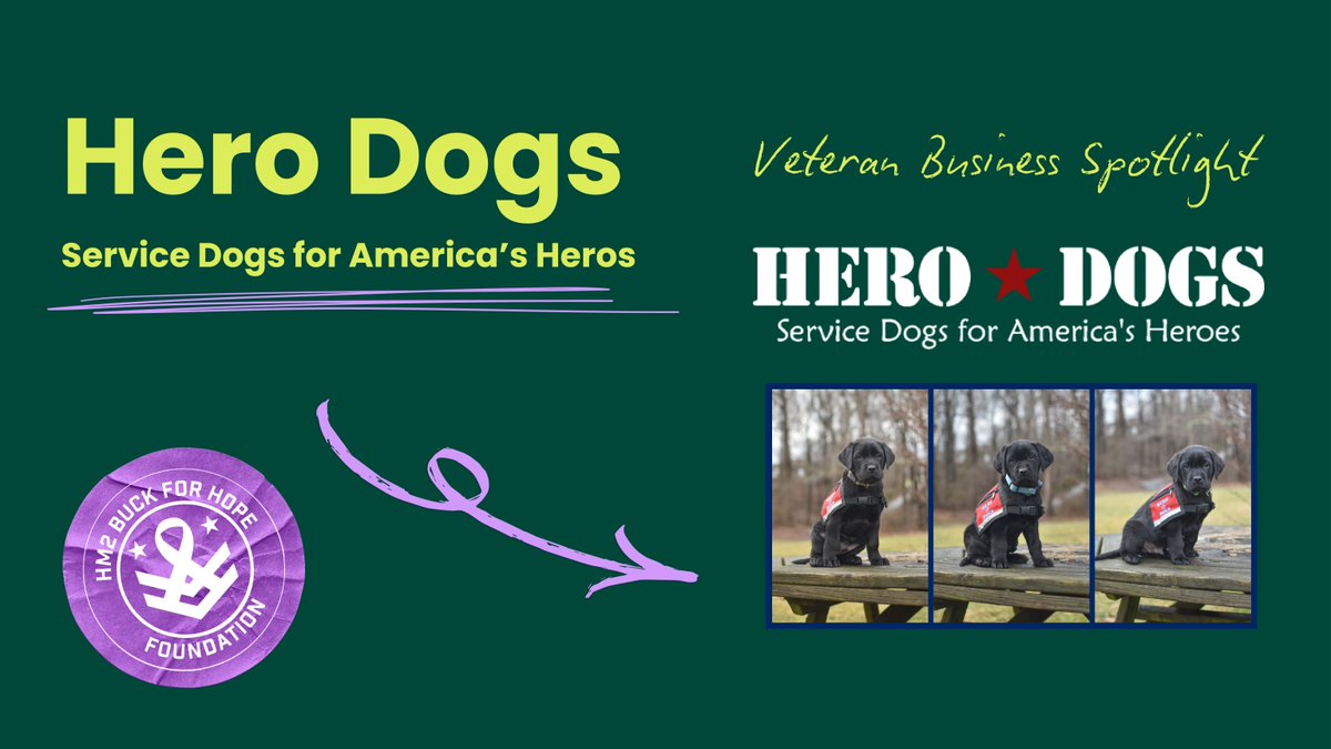 Business Spotlight! 🌟

<a href="/HeroDogsInc/">Hero Dogs</a>, a #veteranowned non-profit in Brookeville, MD, provides trained #servicedogs to veterans and first responders with disabilities at no cost. With a small staff and 150+ volunteers, they make a huge impact. 🐾🇺🇸

ow.ly/pqTq50S7iTb