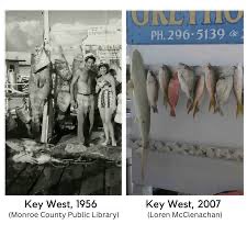 Christopher Hatch tweet media