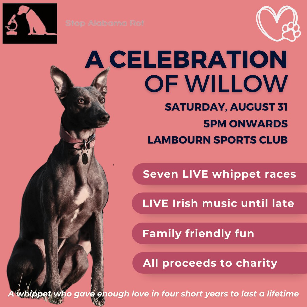 Shaun Reynolds (@95_reynolds) on Twitter photo 10 weeks today❗
If you're within reasonable travelling distance of Lambourn, do save the date and come along to this.
Fiver entry: whippet racing, Irish band, raffle, competitions, prizes, after party. Raising money for the Alabama Rot Research Fund.
August 31 @ <a href="/LambournFC/">LambournSportsFC</a>. 10 weeks today❗
If you're within reasonable travelling distance of Lambourn, do save the date and come along to this.
Fiver entry: whippet racing, Irish band, raffle, competitions, prizes, after party. Raising money for the Alabama Rot Research Fund.
August 31 @ <a href="/LambournFC/">LambournSportsFC</a>.