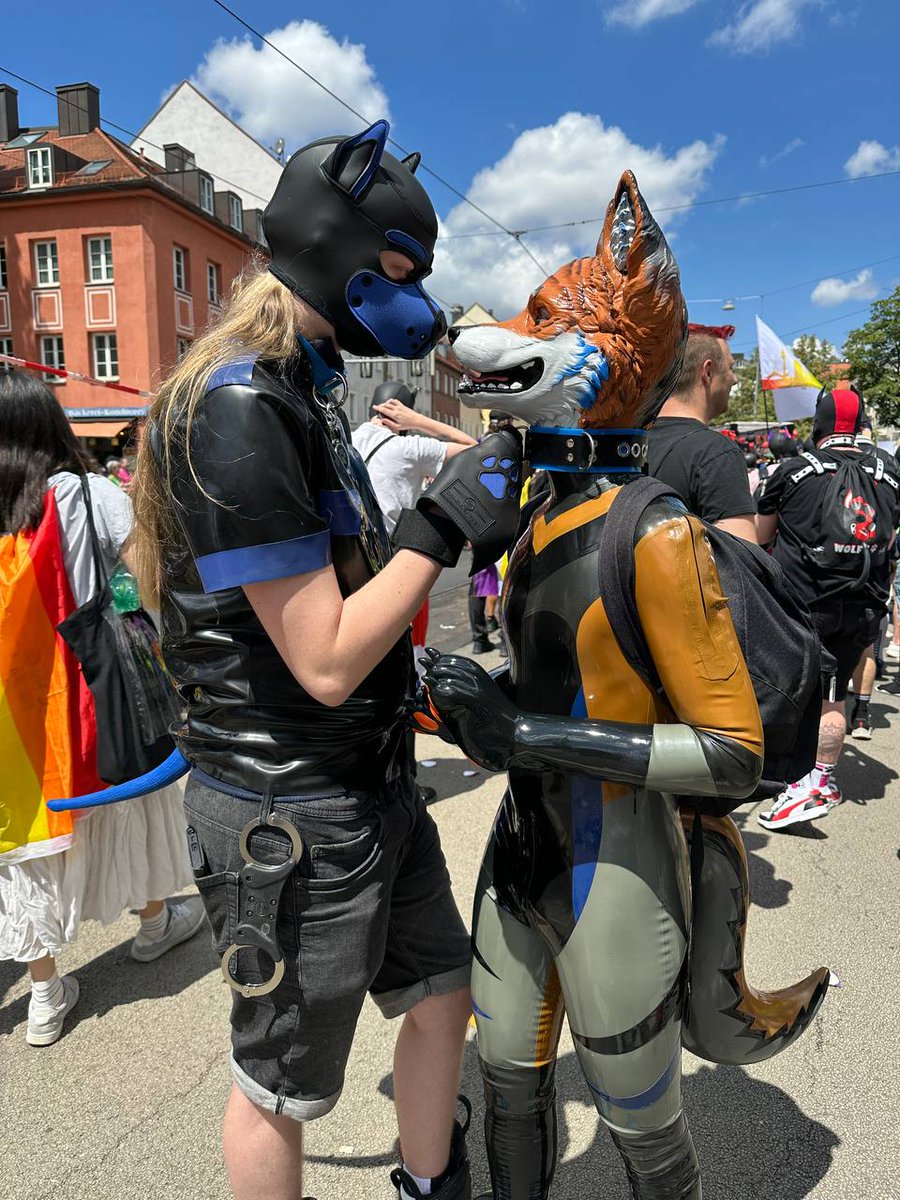 ToruiAD's tweet photo. Look, I caught my favorite lil foxxo @ShinyTekkie 

📸 by the good and locked pup @locked_boy_98 https://t.co/TILplzsBXf