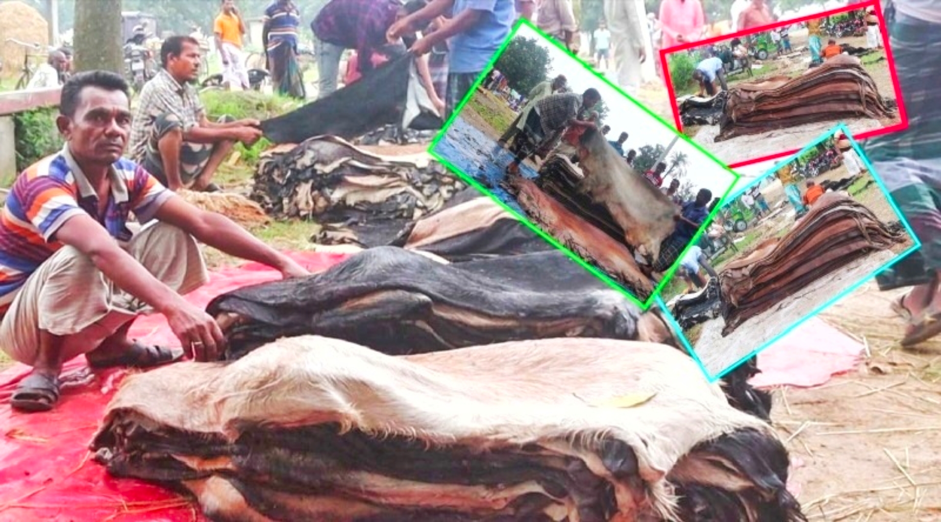 লোকসানে নওগাঁর মৌসুমি চামড়া ব্যবসায়িরা