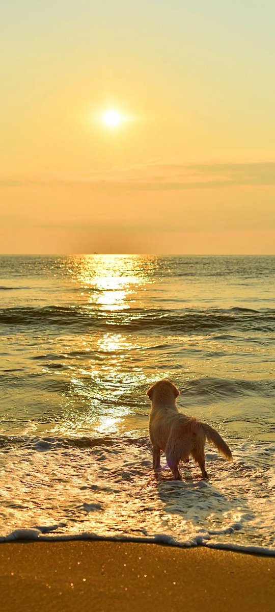 I hope you still feel small when you stand beside the ocean. Because fear shows us the edge, in which case we have to change direction or step up the game.
Fearlessness is not a virtue that many people think it is.