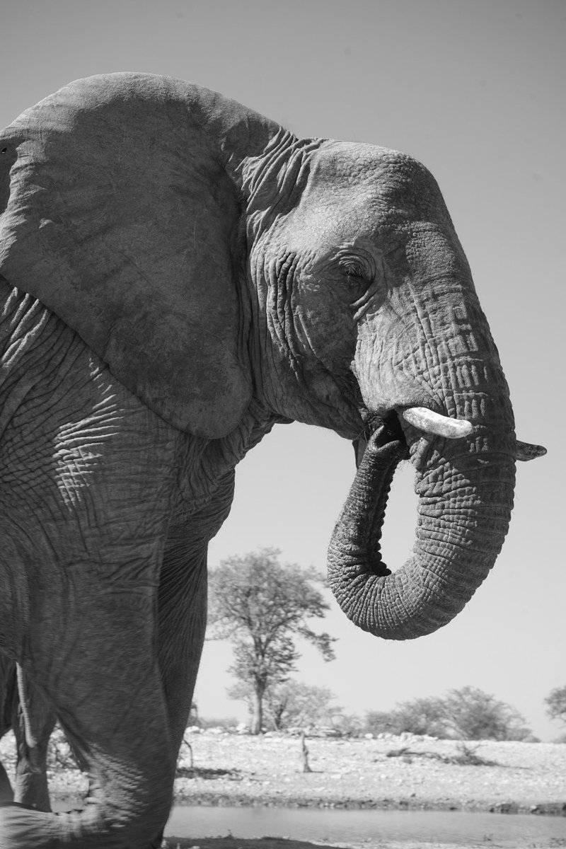 Kaiden Bridges tweet media