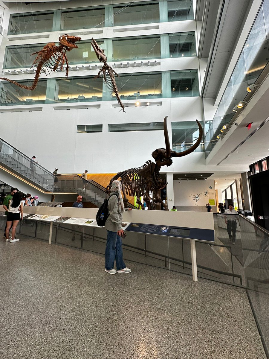 STadoumant's tweet photo. Amazing experience at the University of Michigan Museum of Natural History @UMMNH. https://t.co/zRuOhiDbR8