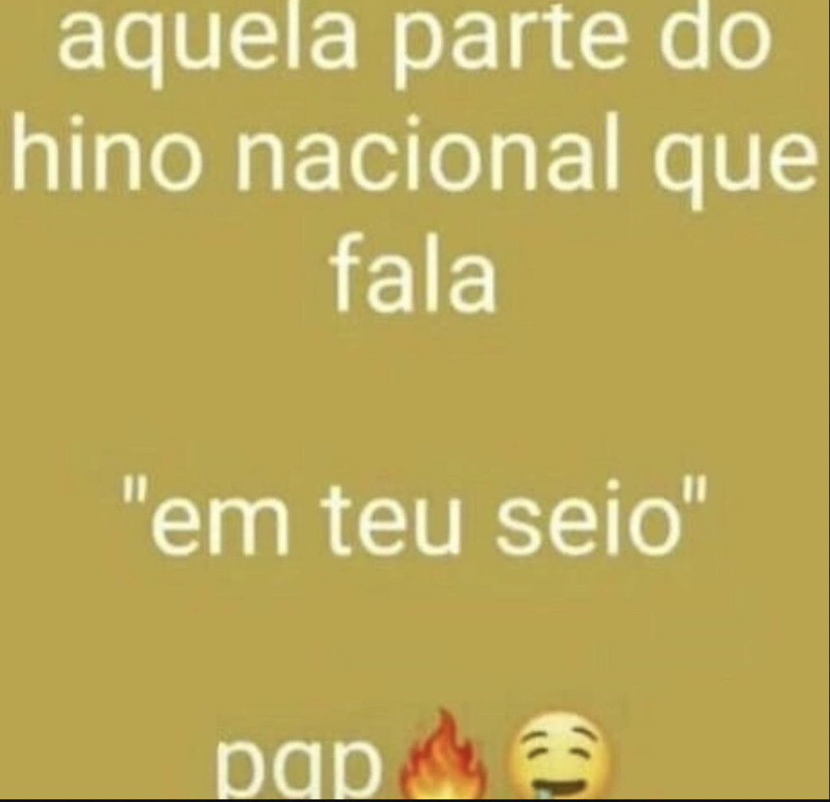 shitpostverdade's tweet image. 