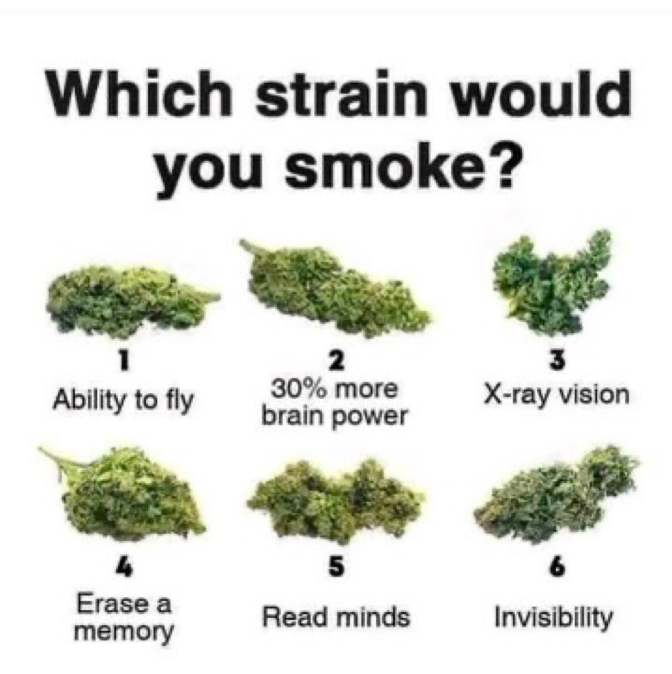 Stoner Barbie tweet media