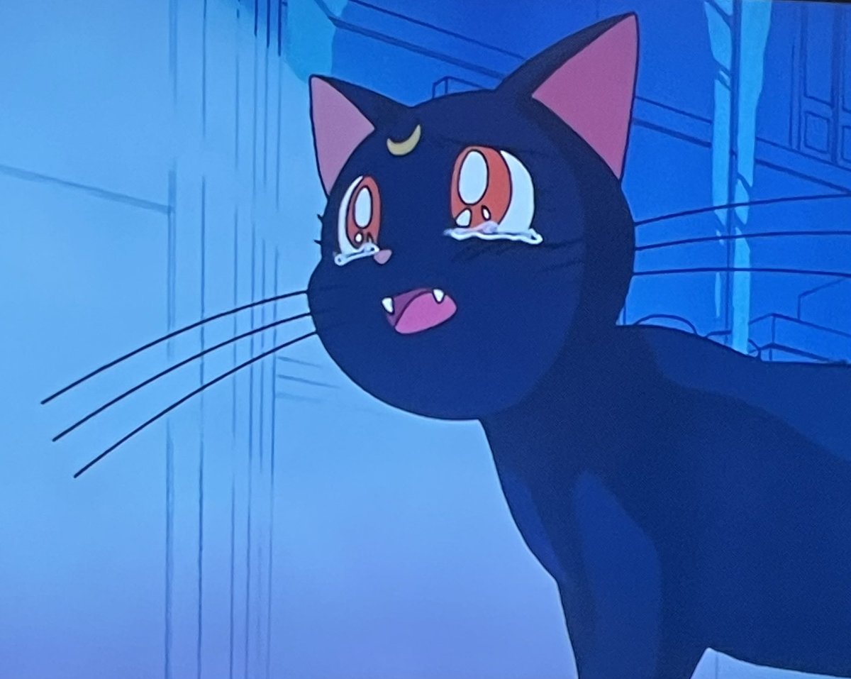 Siempre me da penita Lunita en esta escena, preocupada por Sailor Moon diciéndole a Darien que si se han amado siempre por qué tiene que tratarla así y rogándole que vaya a ayudarla 😭