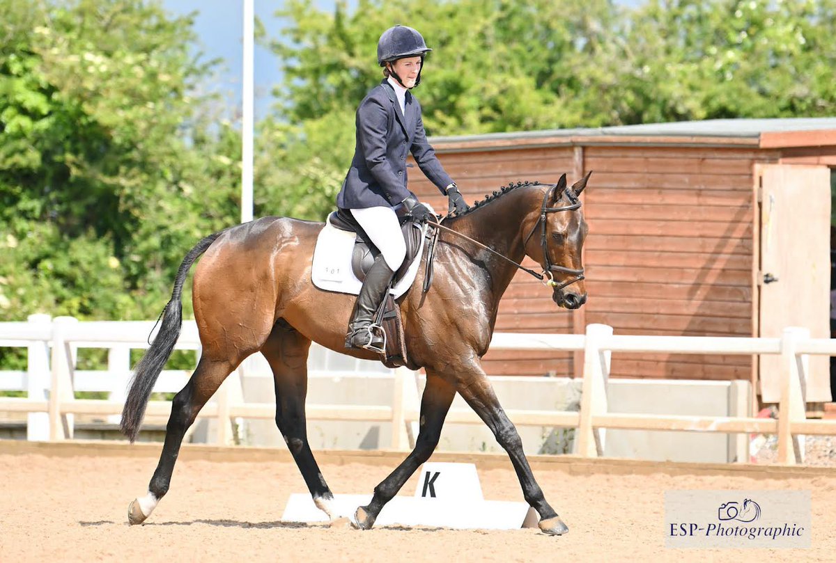 Emily Scott tweet media