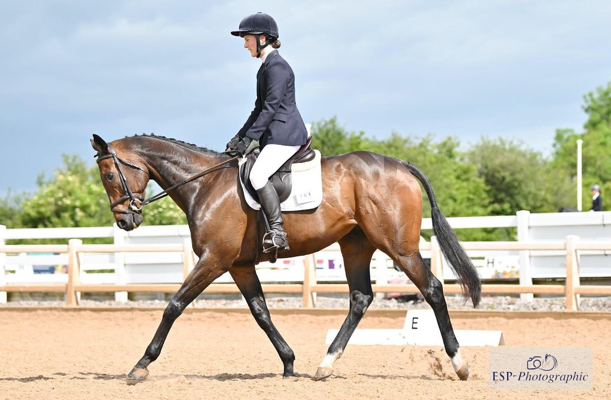 Bowerman getting to grips with his new trade <a href="/ChardEquestrian/">Chard Equestrian</a> today finishing 2nd in the <a href="/RoRlatest/">RoR</a> South West Regional Dressage Championships! 🌟