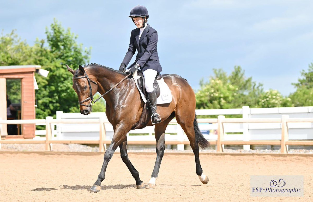 Emily Scott tweet media