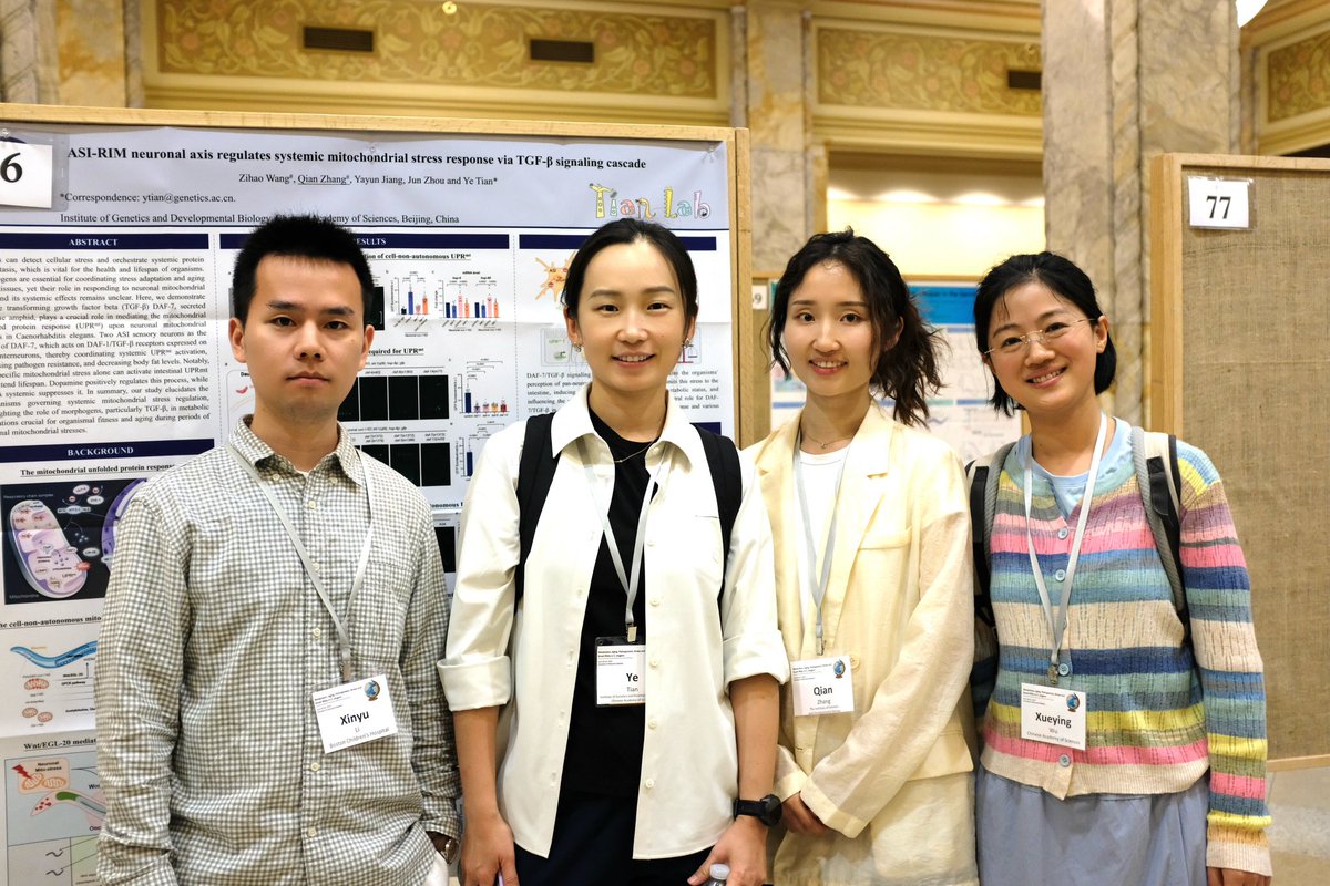 YeTianLab tweet media