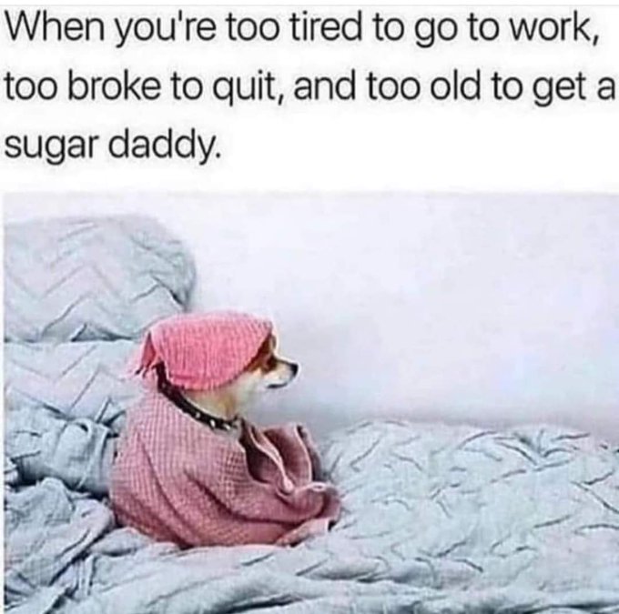 Current mood 🤣🤣 https://t.co/8Y3D22H3QG