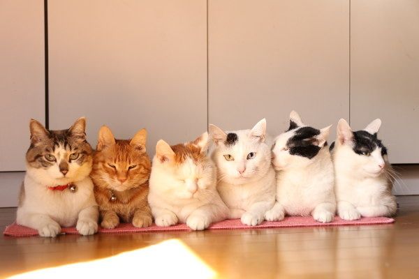 ᐠ.⭑200 #robux Giveaway⭑.ᐟ
— 2 winners —

⊹ 100 rbx
⊹ 100 rbx

ᯓ★ Follow <a href="/Woojinn_z/">김우진</a> 
ᯓ★ like + retweet 

⋆｡˚  ⋆Gw end in 2 days