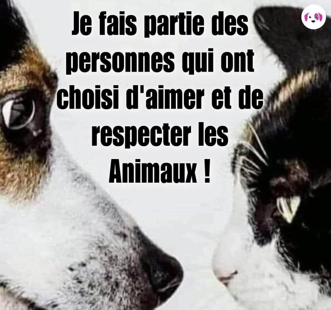 Je fais partie des personnes qui ont choisi d'aimer et de respecter les animaux ✅️  Partagez avec vos amis si vous êtes d'accord ❤🙏