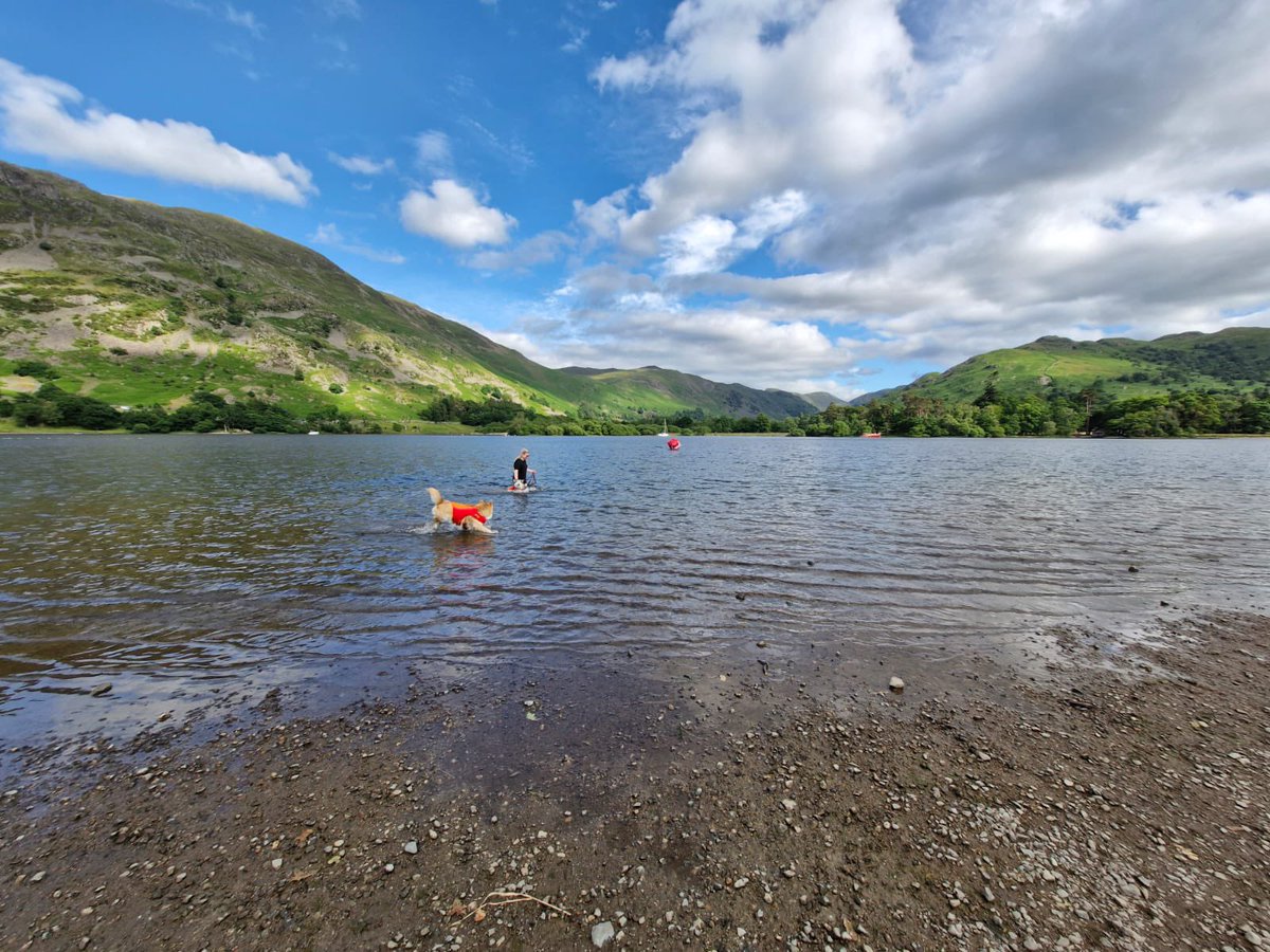 All day on the lake and they are still going crazy ❤️🐻🐺