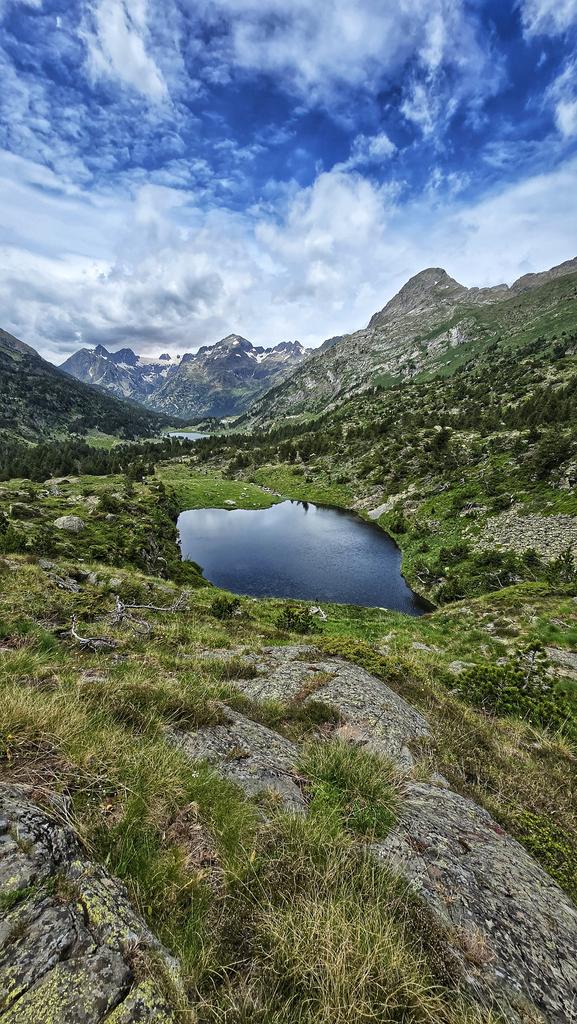 MiguelSalor's tweet photo. Ibon bajo de Villamorta ♥️
22 de junio
Que maravilla de verdor y frescor en el Valle de Benasque, a finales de Junio.
Que diferencia del '23!! https://t.co/u1ESCwk49p