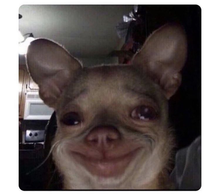 is makeuptwitter dead
i remember being online most hours of the day trying to get noticed by abh and norvina hahah #makeup