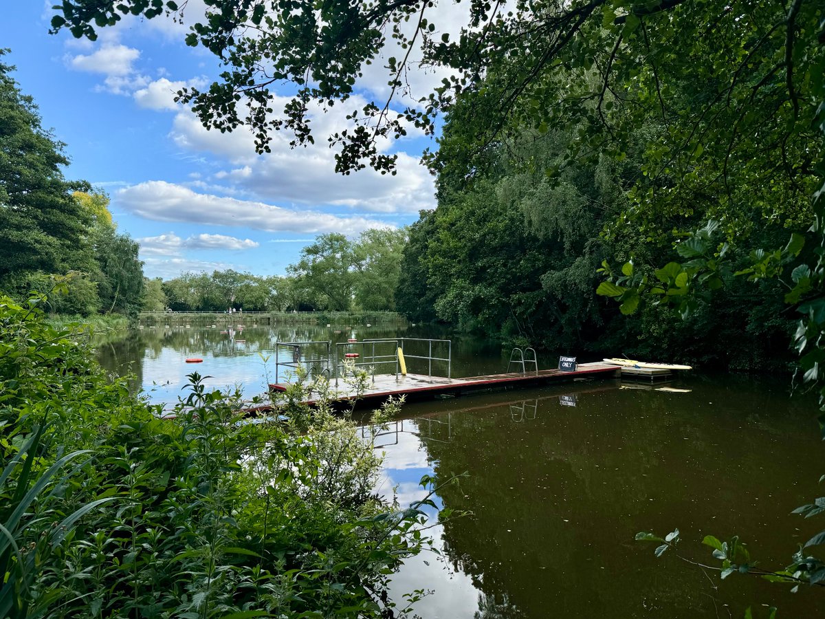 Another after-work swim 🙌🏼