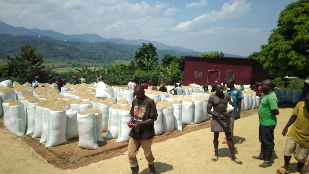BAFUL RWANDA tweet media