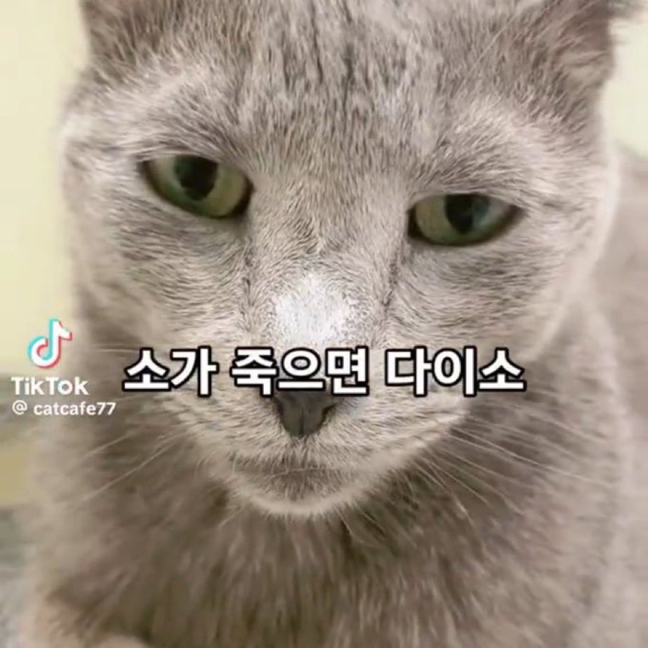 sama (@sama3216290) on Twitter photo 