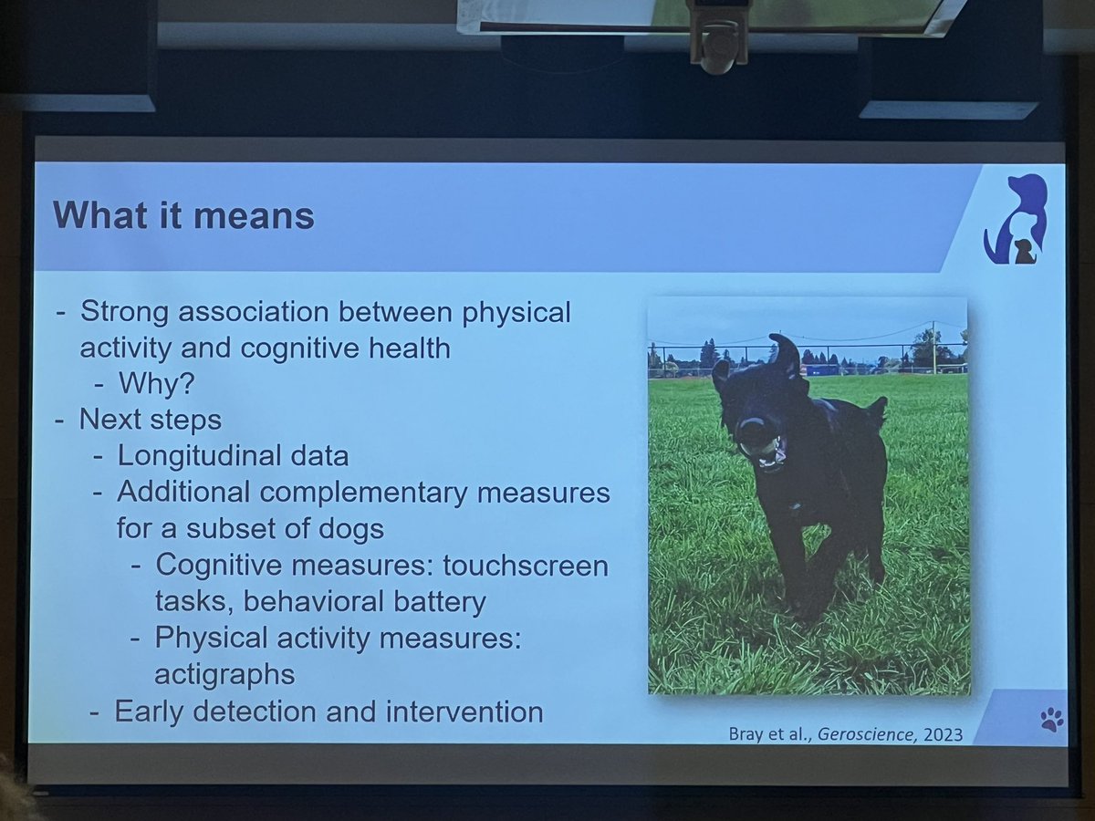 Whirlwind overview from the fabulous <a href="/DrEmilyBray/">Emily Bray</a> <a href="/DogAgingProject/">Dog Aging Project</a> exploring relationships of longevity with other factors like feeding frequency and canine cognitive decline. Look forward to next steps in this space. Great question about inclusion of emotional health #CSC2024