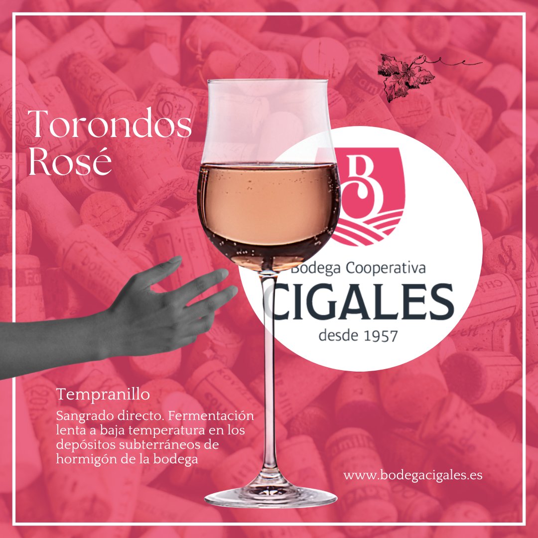 Bodega Cooperativa Cigales tweet media