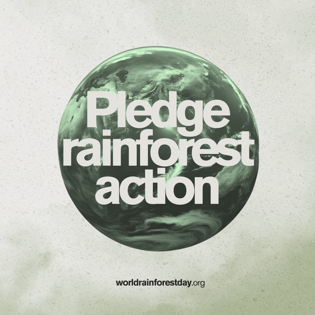 We have the tools and knowledge to end deforestation. What we need is immediate action #forRainforests.

Introducing the World Rainforest Day pledge program: a global campaign to drive biodiversity protection and restoration across all sectors. 

🔗 worldrainforestday.org