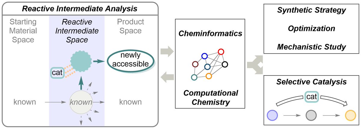 Gabriel Lovinger (@gabriellovinger) on Twitter photo Want to become a synthetic physical organic chemist applying modern tools to reaction discovery & catalysis? The Lovinger Lab might be a good fit. We draw inspiration from reactive intermediates as branching points in chemical reaction space to enable new reactivity & selectivity Want to become a synthetic physical organic chemist applying modern tools to reaction discovery & catalysis? The Lovinger Lab might be a good fit. We draw inspiration from reactive intermediates as branching points in chemical reaction space to enable new reactivity & selectivity