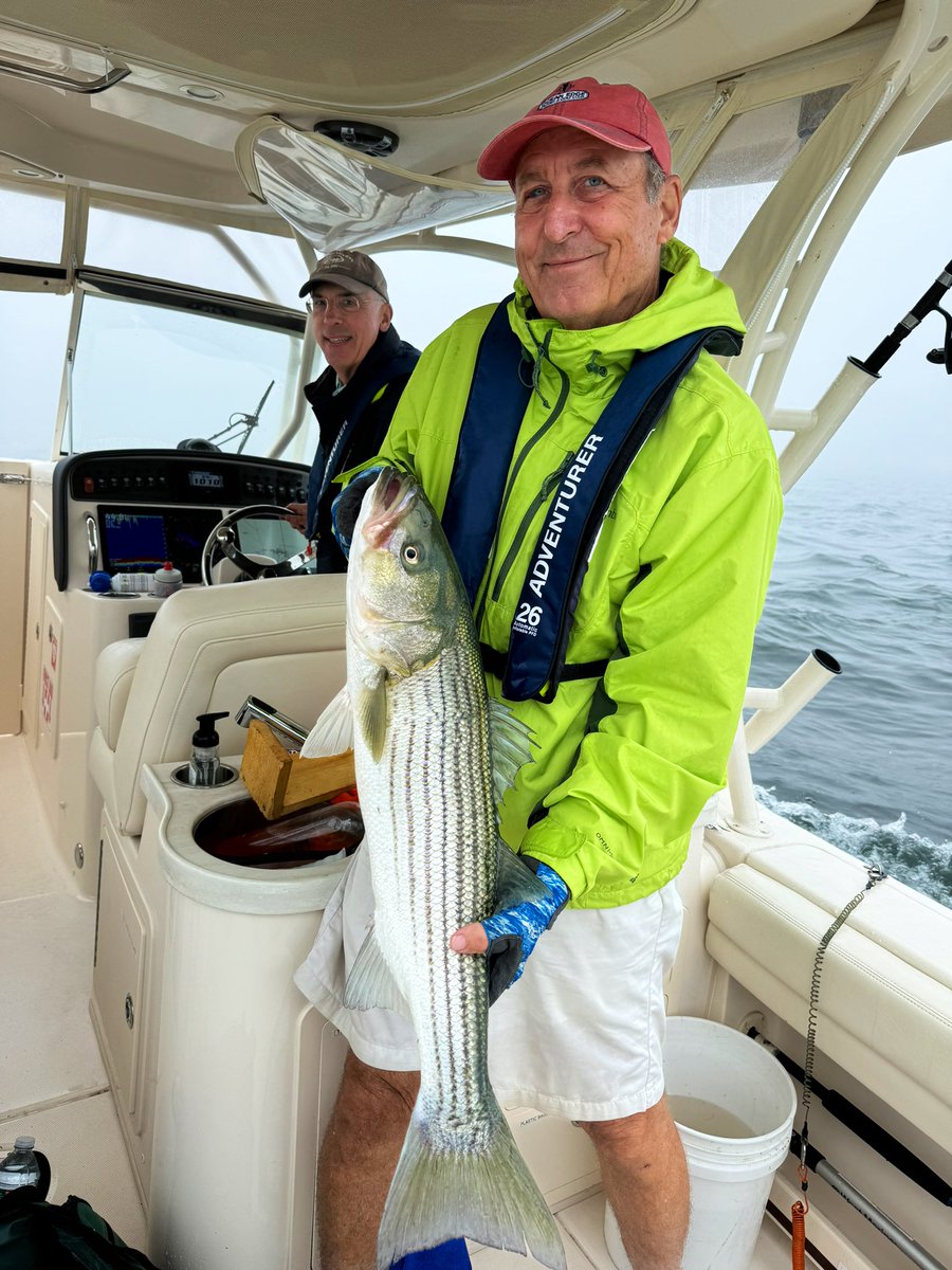 doctorely's tweet image. Good day in the Monomoy Island rips. #Striper #Monomoy #capecod