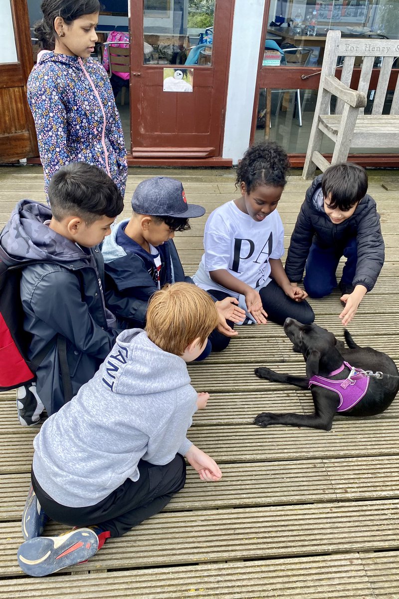 CJ_Year4's tweet photo. Thank you so much for having us, Orford Sailing Club! See you soon parents 👋 https://t.co/BZpool4PaA