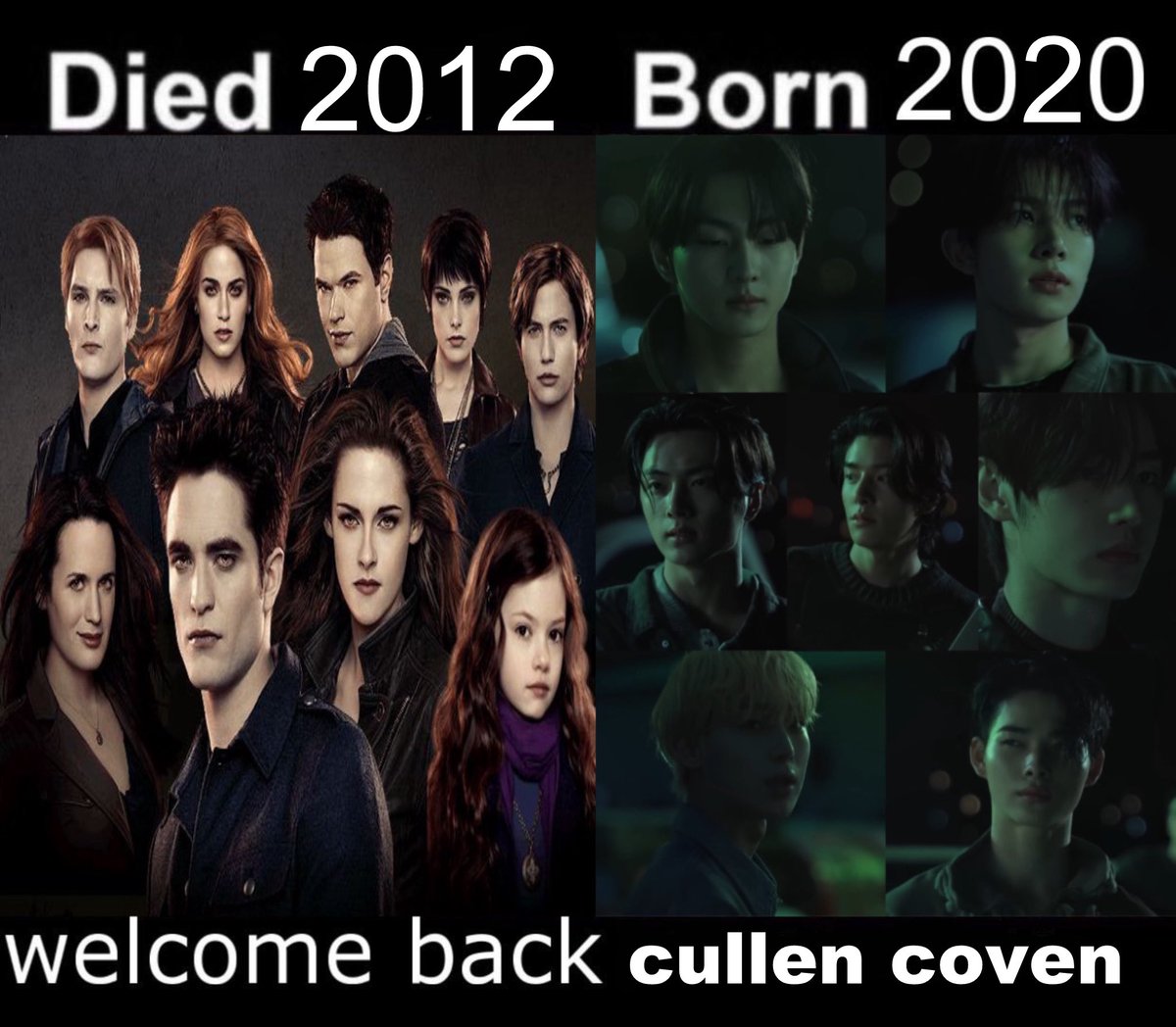 tiniehee's tweet image. 