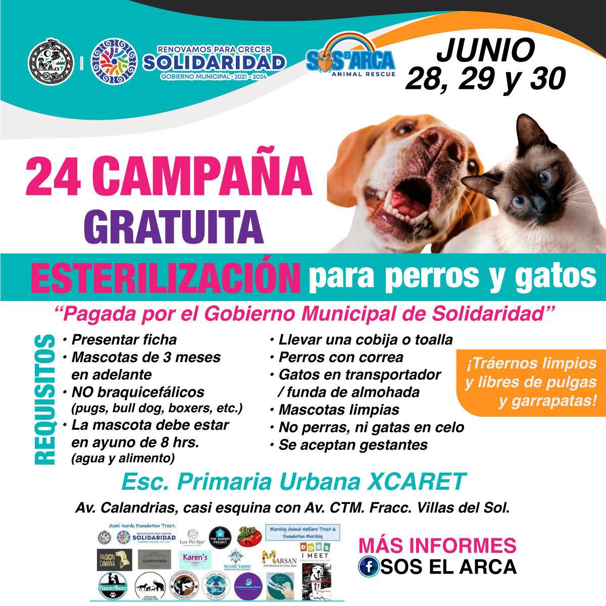 ¡Campaña GRATUITA de ESTERILIZACIÓN #24✂️🥚🥚 para nuestros pequeños de 4 patas🐶🐱!

🙋🏽‍♂️Amigxs solidarenses, en especial los vecinxs de la Villas del Sol📍, <a href="/SOSELARCA/">#SOSELARCA ®</a> esta organizándola; Nos vemos el 28, 29 y 30 de junio🗓️

Aprovecha y llega temprano porque hay cupo limitado🎟