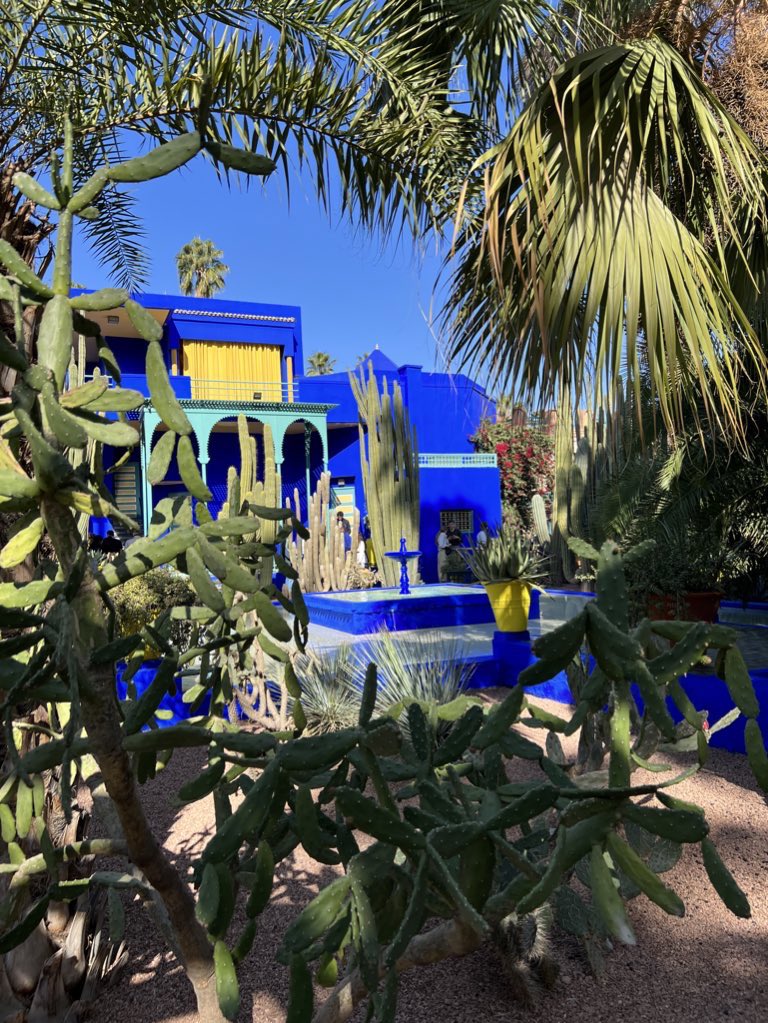 FaridaLoudaya's tweet photo. Jardin Majorelle, Marrakech🇲🇦 https://t.co/N2u5y04vc0