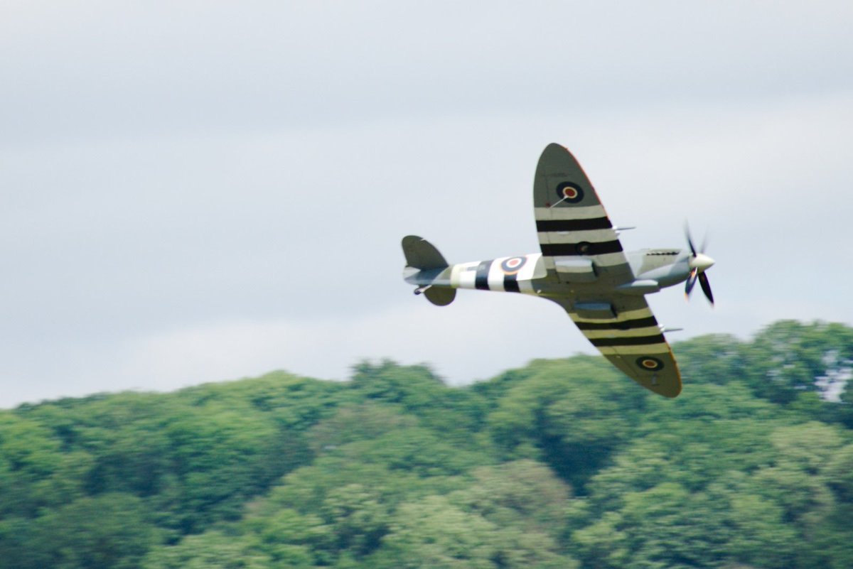 Matthew Halstead tweet media